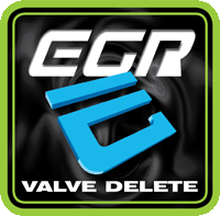 EGR Delete Exhaust Gas Recirculation (EGR) Valve Deletion service.